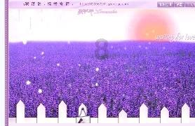 跑步一年能瘦多少斤？游戏画面
